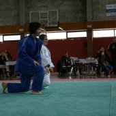 FIte_du_Judo_01-05-2013_5