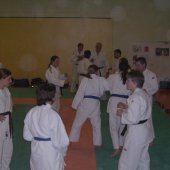 Ju-Jitsu_2007_8