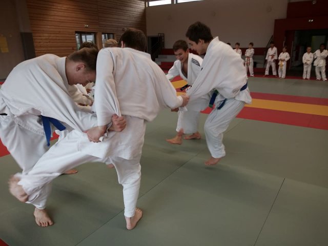 Stage judo vacances octobre 2017