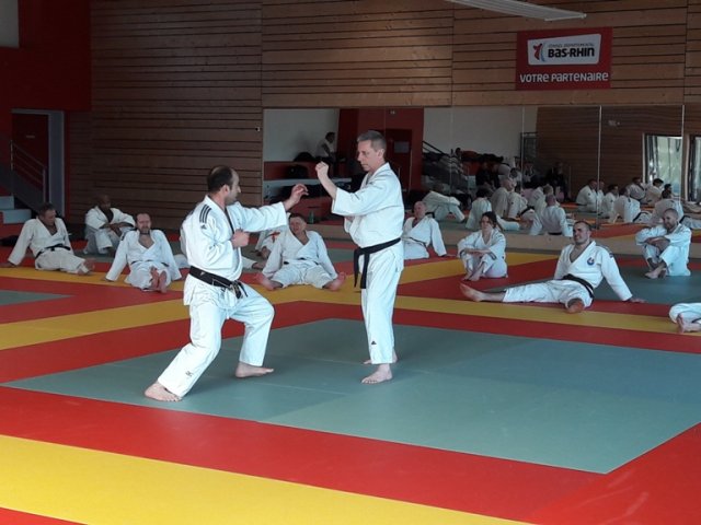 Stage de Ju-jitsu à Rosheim 24-03-2018