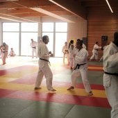 Stage de Ju-jitsu à Rosheim 24-03-2018